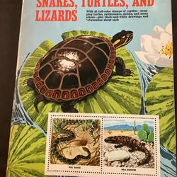  Vintage Snakes, Turtles & Lizards Book