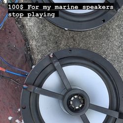 Kickers marine speaker