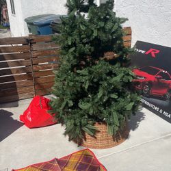 Christmas Tree With Collar & Bag