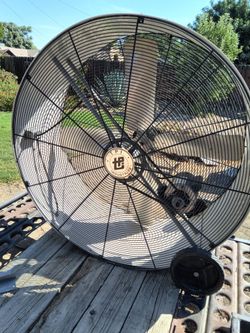 Fan