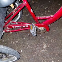 Adult trike vintage