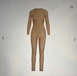 Skims Catsuit