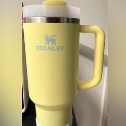 40oz Stanley Cup
