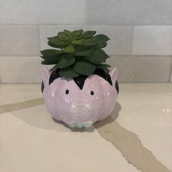 Vampire-themed succulent planter, Halloween Decor, Succulent is not real