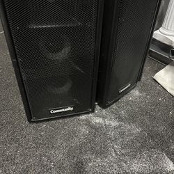 I Have 6 Community SLS915 Speakers And 2 Subs
