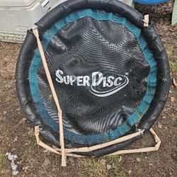 Price Is Firm.. Children's 32-in Super Disc Swing