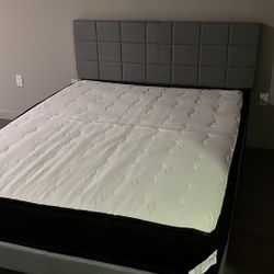 Bed Frame 