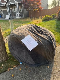 Giant costco bean bag free