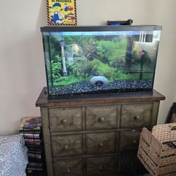 Aquarium With Stand And Accessories