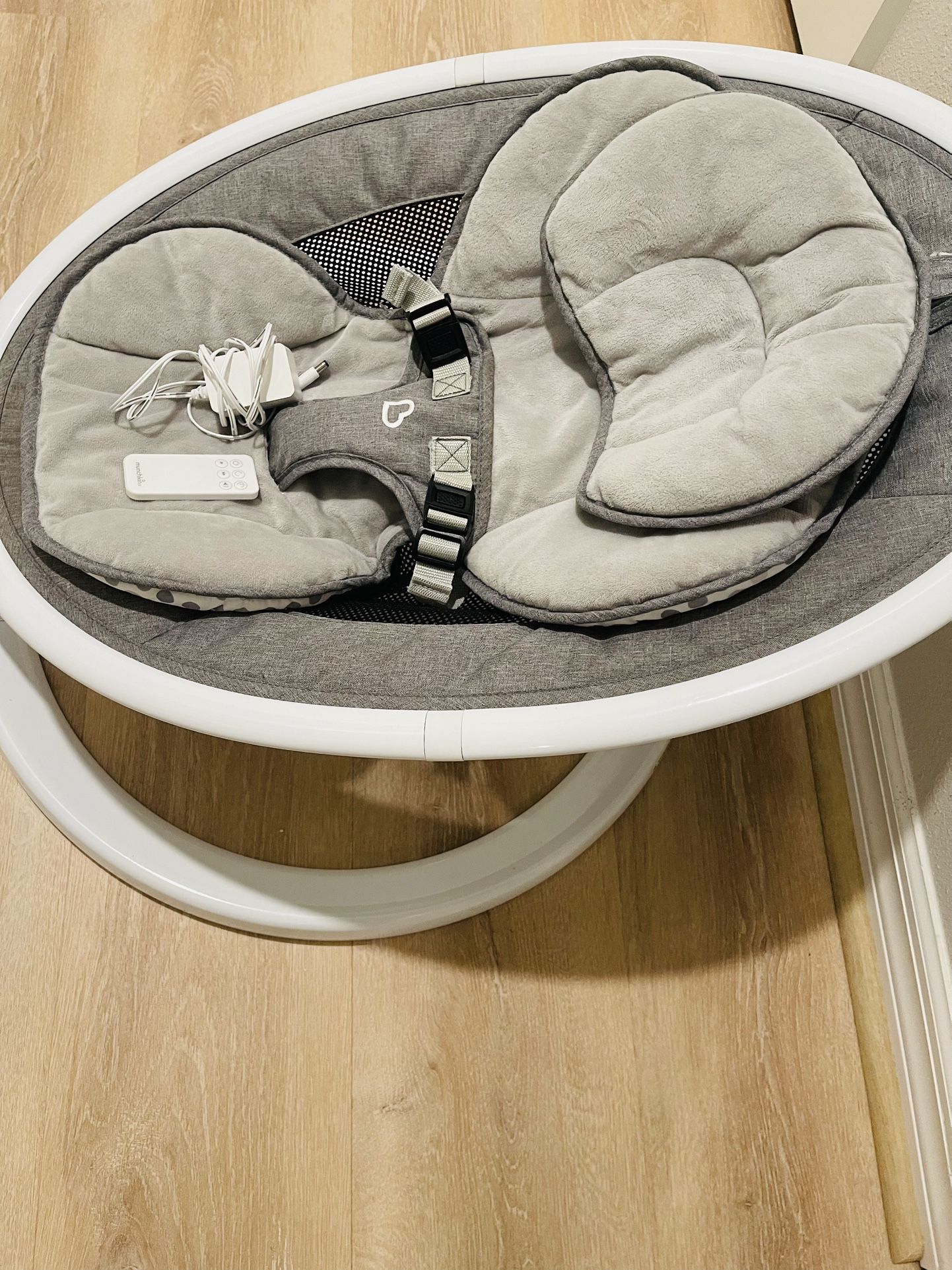 Music Remote Swing Chair