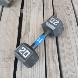 FITNESS GEAR 20 LBS Dumbbell