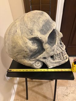 Huge oversized skeleton head