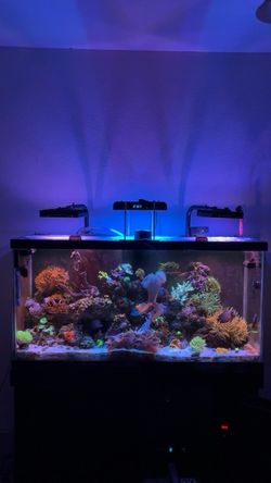 90g Aquarium