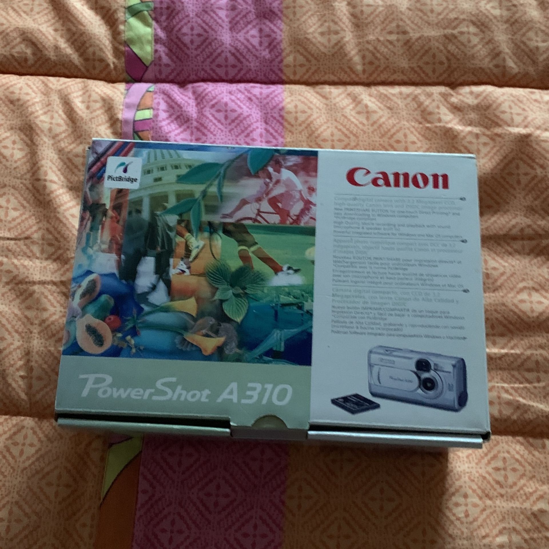 Canon PowerShot A310 + A Sony Camera