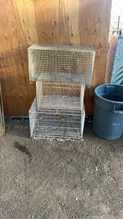 3 Bird Cages