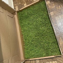 New Fresh Patch Of Grass For Dog Indoor Potty Training