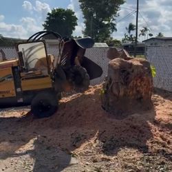 Stumps Grinder 