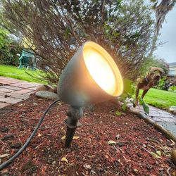 Garden Spotlight