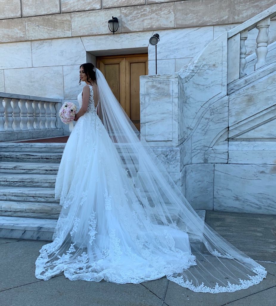 Demotrios Wedding Dress With Cathedral Veil 