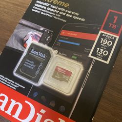 1TB SanDisk Micro Memory Card