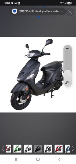 50cc TaoTao Pony