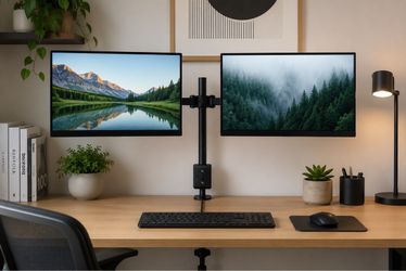 Dual Monitor Desk Mount Stand
