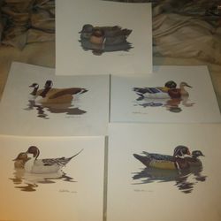 5  Richard  Sloan  Duck Prints  1980 n 81  11"×14"