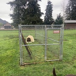 Dog Kennel Southgate