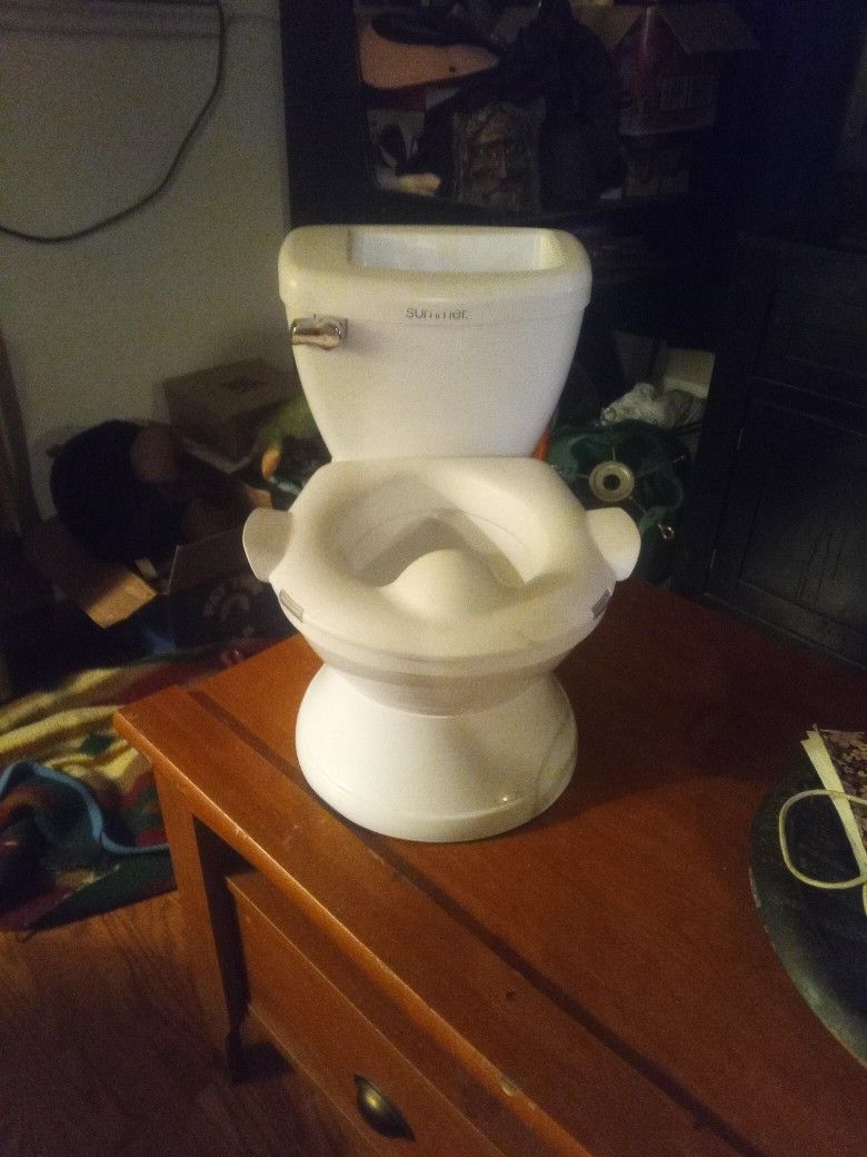 Real Flushing Potty Training Toilet