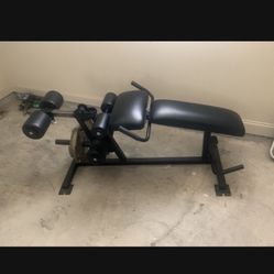 Plate loaded Leg Extension Machine $700 OBO 