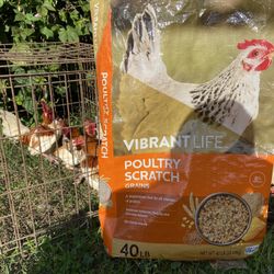 Comida de Pollos Scratch