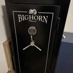 Big Horn Safe/Gun Safe 