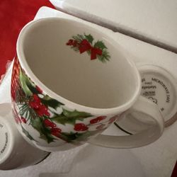 Princess House Tazas