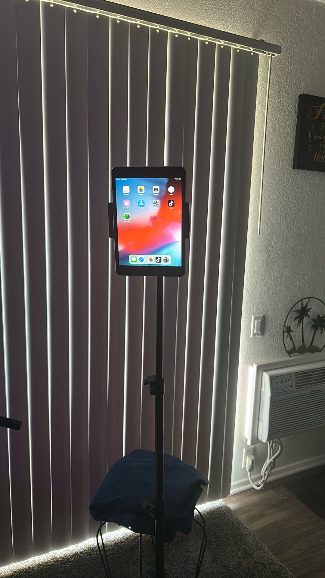 iPad Mini 3