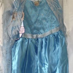 Elsa Dress  From Disney 