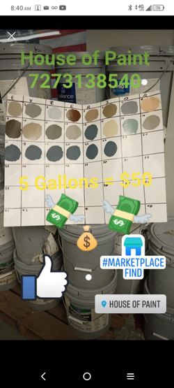 Oops Clearance Paint Sale $7 Per GALLON