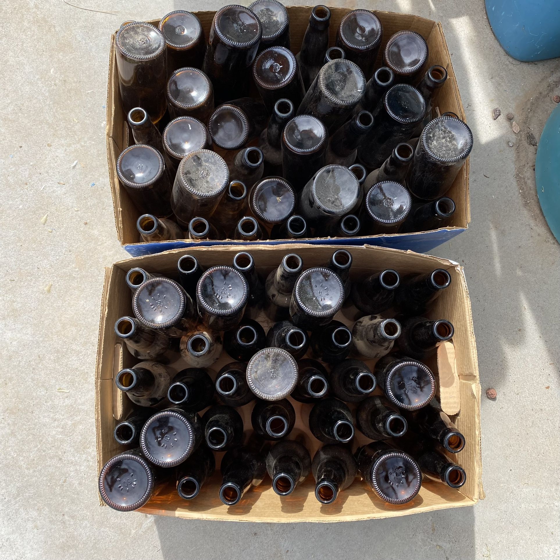 70+ Unused Brown Bottles Beer? Craft?Favors?