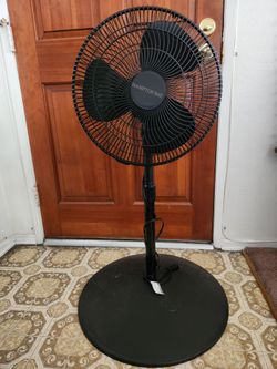 Fan
