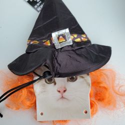 Cat Halloween Hat New