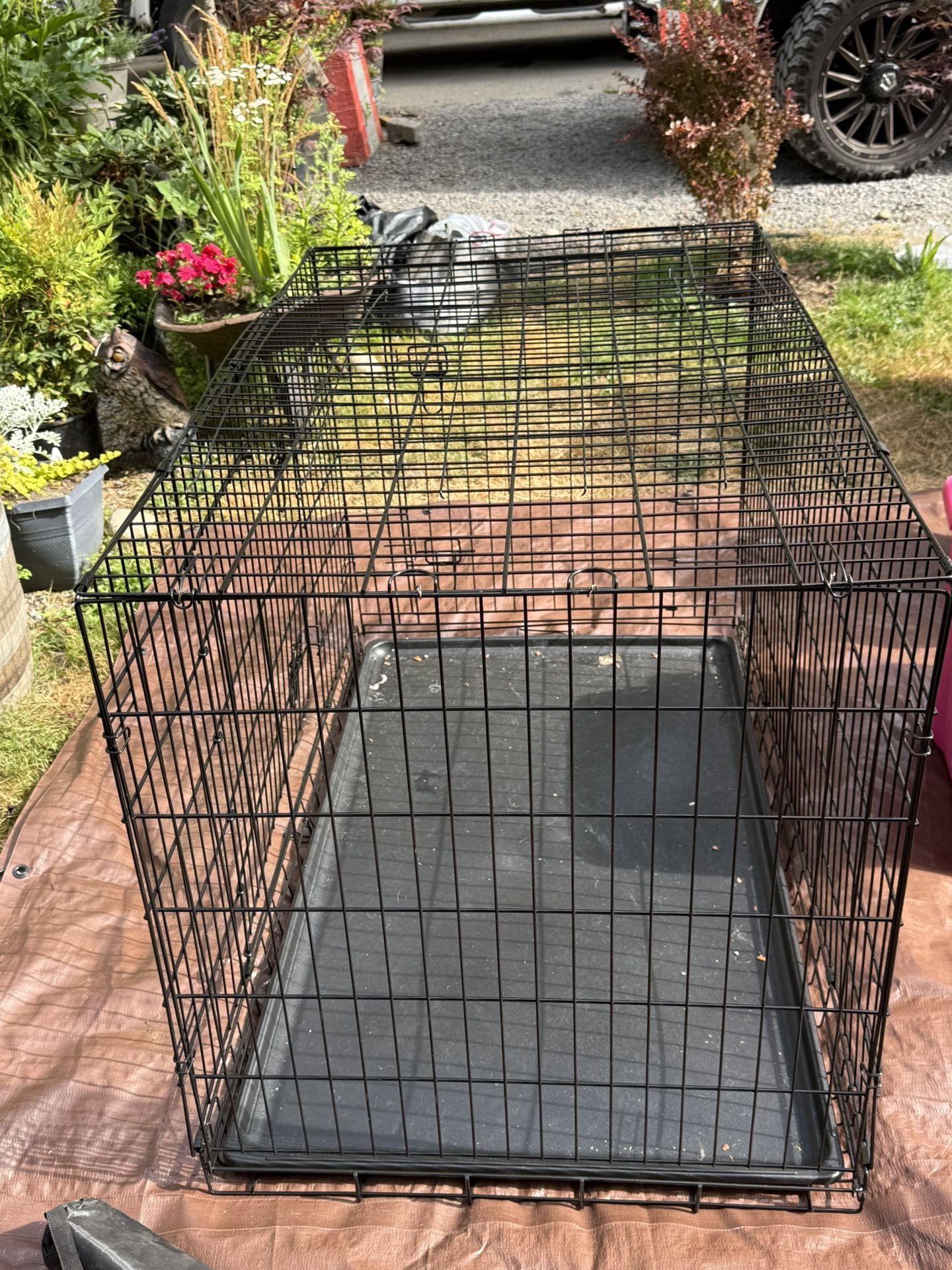 large breed dog cage