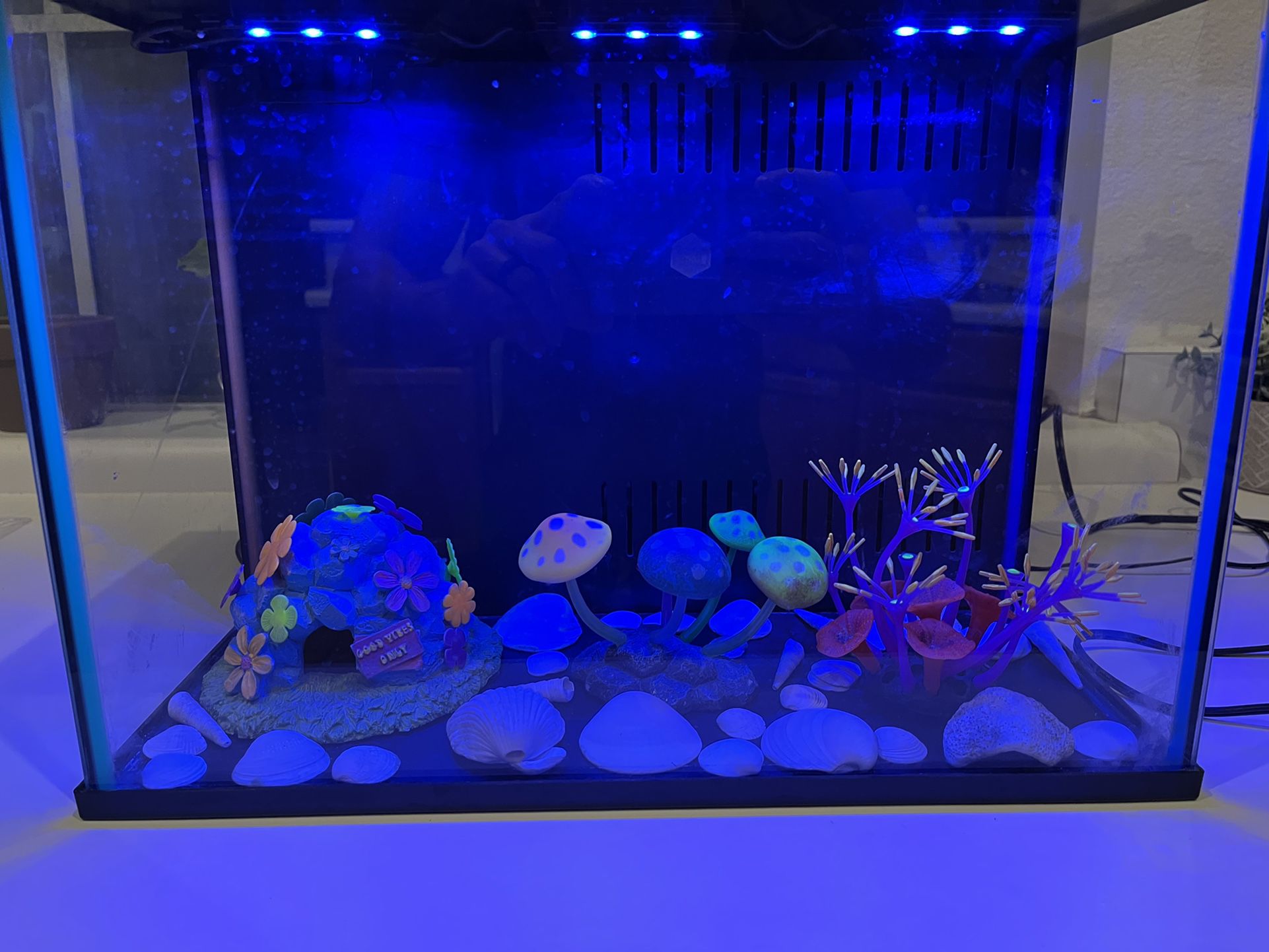 5 Gallon Fish Tank With Lights 