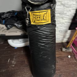 Ever last Hanging Punching Bag