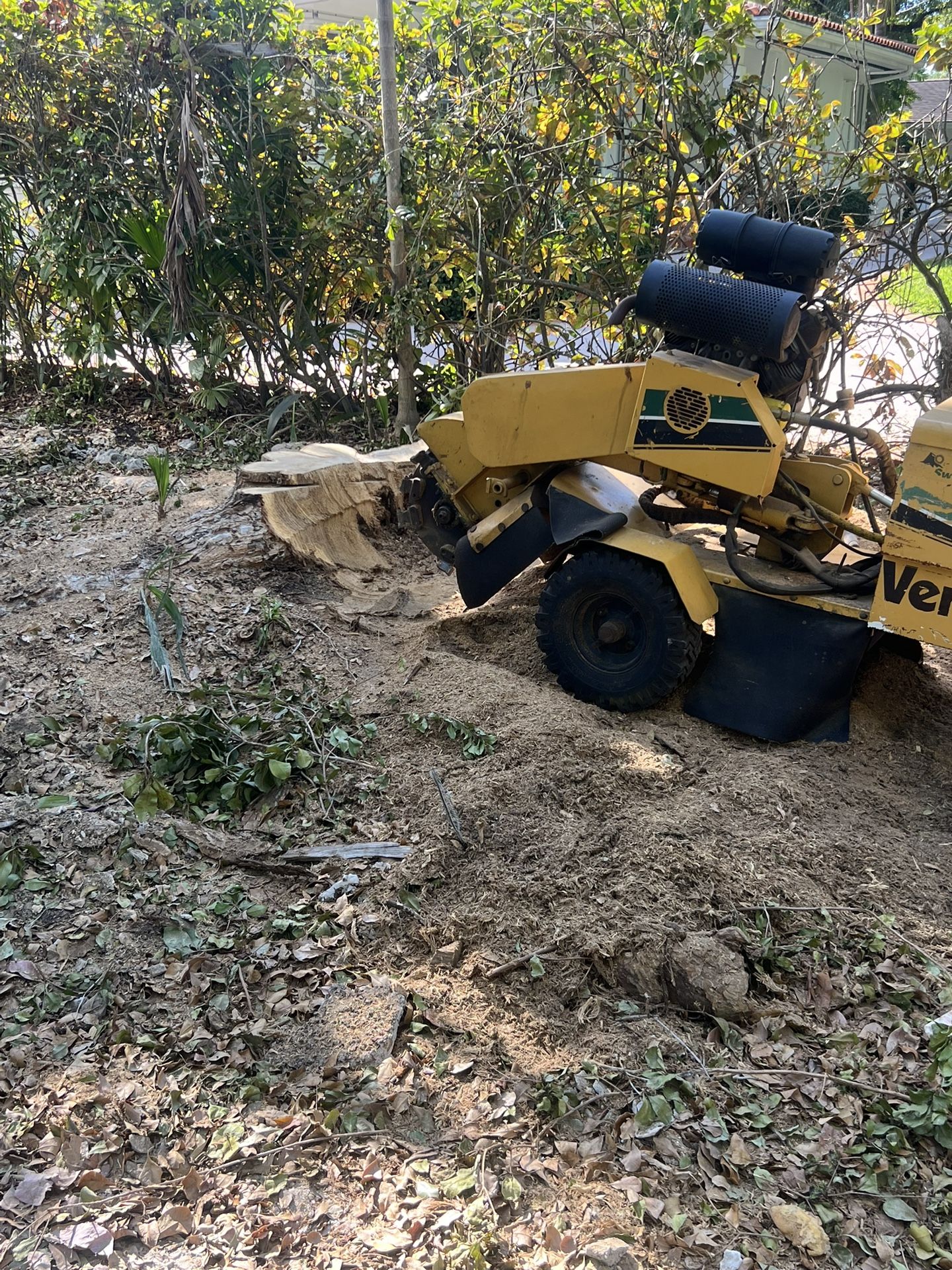 stump grinding