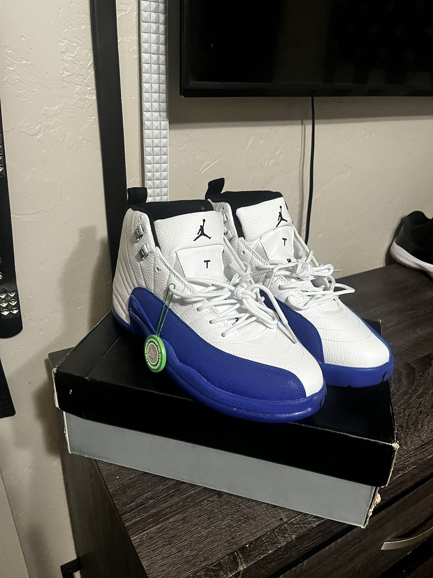 jordan 12
