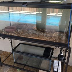 Snake Or Reptile Huge Cage 