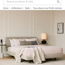 Article Queen Bed Frame + Queen Mattress