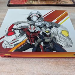 Xbox One X 1TB - MARVEL Ant-Man & The Wasp custom painted. 
