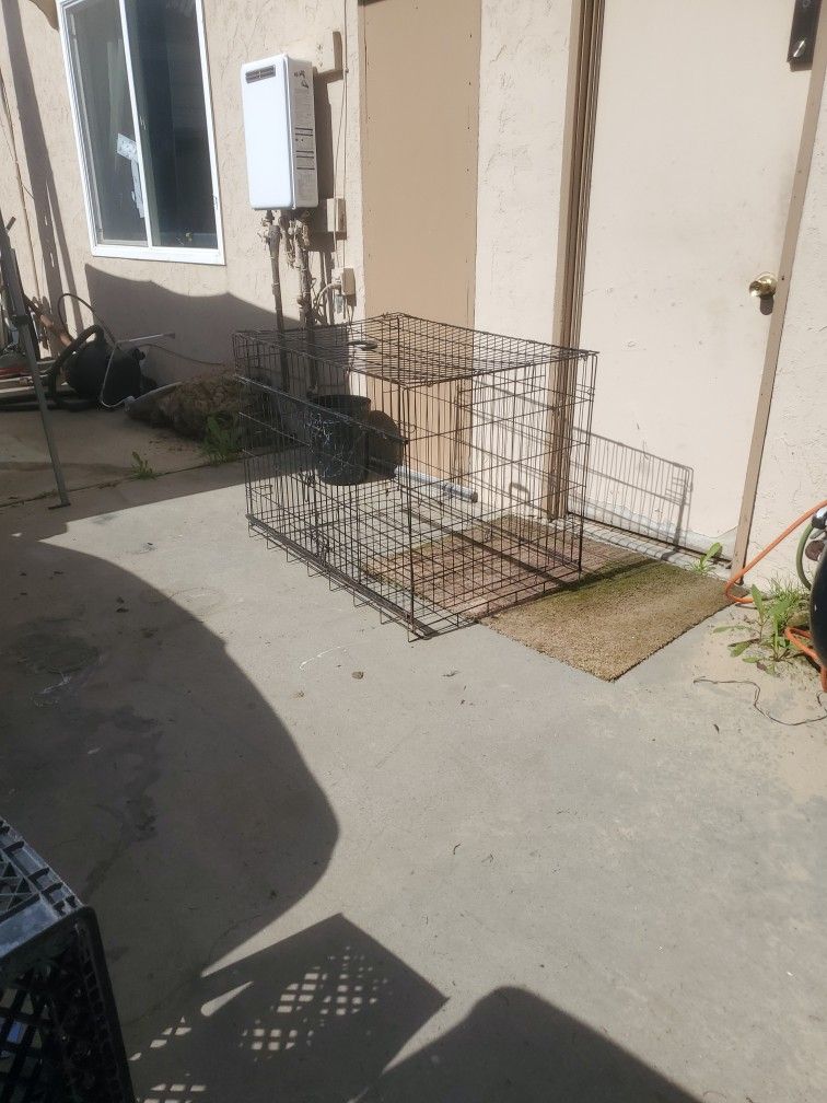 Big Dog Crate