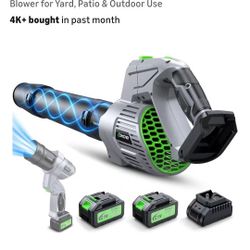 NEW POWERFUL CORDLESS LEAF BLOWER