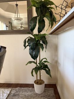 Floor Tree (Artificial)